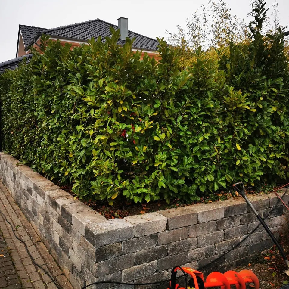Neuer Zaun auf bestehender Mauer in Mülheim-Kärlich – Projekt in Mülheim-Kärlich