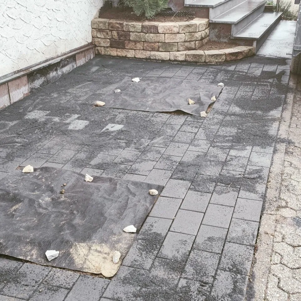 Aufgeräumtes Grundstück nach Rodung und Rückschnitt – Projekt in Kadenbach