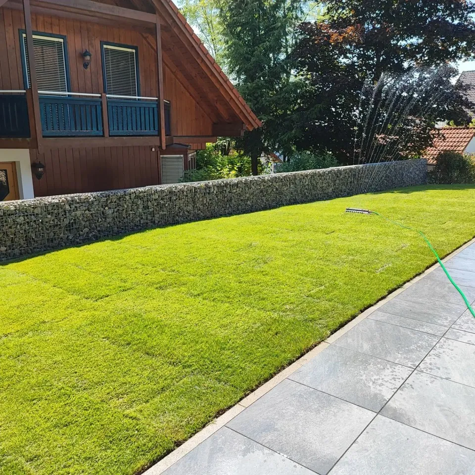 Projekt: Abgeschlossenes Gartenprojekt in Siershahn (Siershahn)