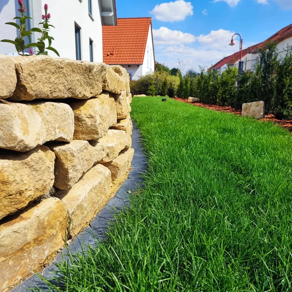 Hitzebeständiger Rasen – auch bei anhaltender Sommerhitze grün – Projekt in Ransbach-Baumbach